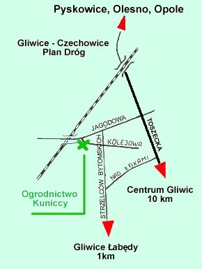 Szczeg�owa mapa dojazdu